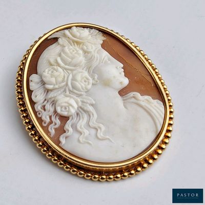 une image représentant le profil d'une femme sur une broche en camée