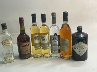 7 bouteilles GIN, VODKA,MUSCAT et PINEAU