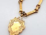 an image of a gold necklace with a pendant on a chain