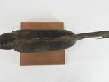 a bird that is sitting on top of a piece of wood