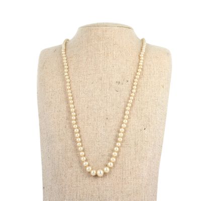 Collier composé d'un rang de perles imitation blanches en ch…