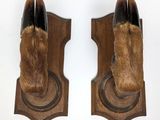 pair of taxider ' s shoes mounted on a wooden plaque
