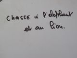 Photo 4/4 du lot