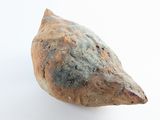 an image of a piece of food that is on a white surface