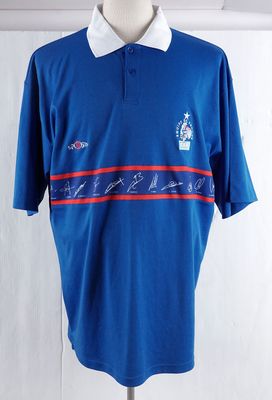 a close up of a blue polo shirt with a white collar