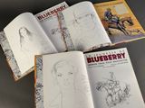three books of blueberry are sitting on a table next to each other