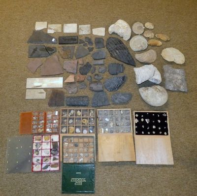 beaucoup de cailloux et d'autres objets par terre