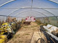 Serre-tunnel 30m x 6m à couverture plastique avec fixation v… (photo 4)