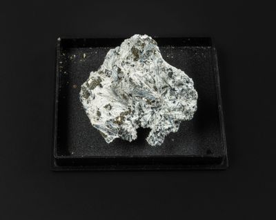 un gros plan sur un objet en argent posé sur une assiette noire