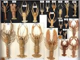 many different types of lobsters on display in a display case