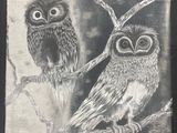 dessin représentant deux chouettes perchées sur une branche d'arbre