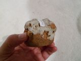 a person holding a piece of bread in their hand
