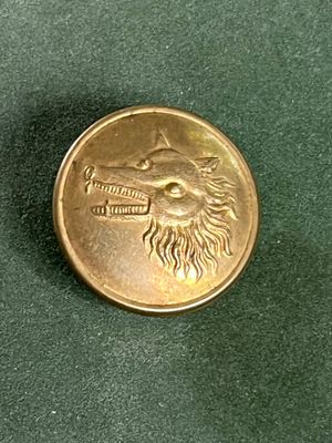 une pièce d'or représentant un lion, posée sur un fond vert