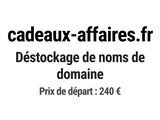 Photo 1/1 du lot