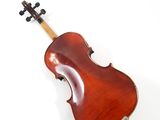 an old violin on a white background