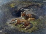 painting of two foxes resting in the shade of a tree
