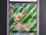 a close up of a pokemon card in a plastic case