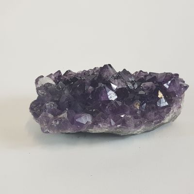 un améthorate violet posé sur un rocher, sur fond blanc