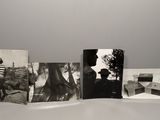 Photo 9/14 du lot