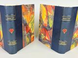 pair of blue book covers with a red and yellow design on them