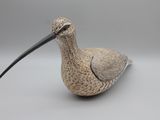 un petit oiseau au long bec posé sur une surface blanche