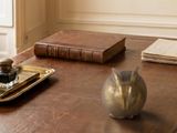 un bureau sur lequel se trouvent un livre, un stylo et une petite figurine de chouette