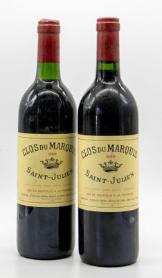 deux bouteilles de vin rouge posées l'une à côté de l'autre sur une surface blanche
