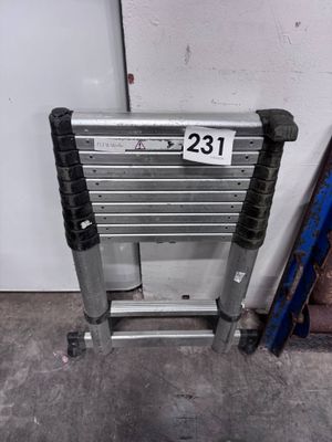 Une échelle télescopique - Photo 1