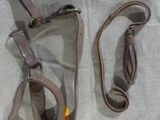 a bag with a leash attached to it and a pair of scissors
