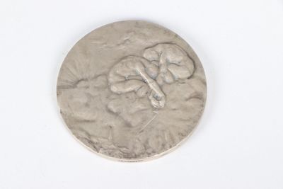 a silver coin with a picture of a man on it