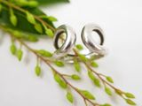 silver plated earrings on a branch with green leaves