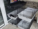deux cages posées par terre devant une fenêtre
