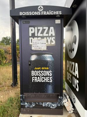 a black and white photo of a box with a pizza on it