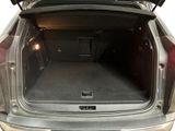 the back of a car with its trunk open and the back door open