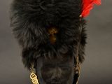 an old black hat with a red feather on top of a mannequin head