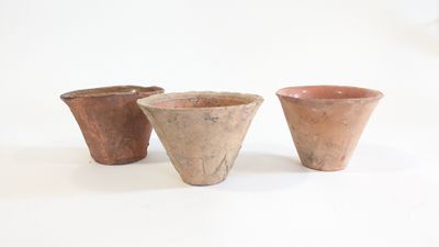 trois tasses posées les unes à côté des autres sur une surface blanche