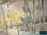 a watercolor painting of a path in the woods