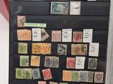 a picture of a display case with stamps on it