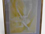 painting of a white dragonfly in a gold frame on a white background