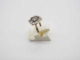 an image of a ring with a flower on top of it