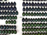 two rows of scarabs on display in a book