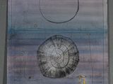 dessin représentant un coquillage dessiné sur une feuille de papier