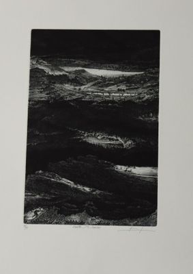 une photo en noir et blanc représentant des vagues dans l'océan