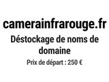 Photo 1/1 du lot
