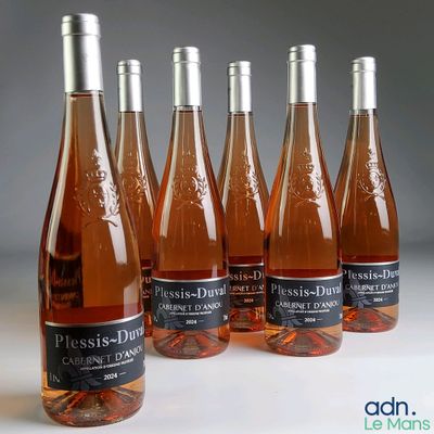 six bottles of pink wine are lined up in a row