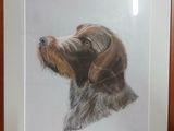 tableau représentant un chien brun et blanc, dans un cadre en bois