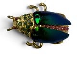 broche en forme de scarabée plaquée or, verte et rose, avec des yeux en rubis et en émeraude