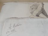drawing of a cat laying on a bed with a pillow