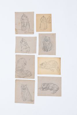 Plusieurs dessins représentant des chats et des chiens sont exposés sur une surface blanche.