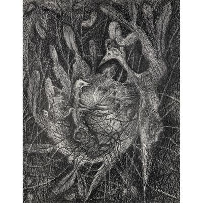 black and white drawing of a bird in a nest in the grass